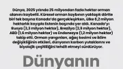 2025'te Küresel Orman Kaybı Rekor Kırdı: En Büyük Kayıp Kanada'da