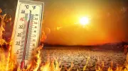 41 Ülkede Rekor Kırıldı: İşte Dünyadaki En Yüksek Sıcaklıklar