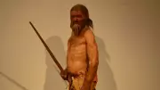 5 bin 300 yıllık Anadolulu Ötzi'nin bedeninde dinamik ekosistem keşfi