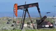 ABD Stratejik Petrol Rezervi 43 Yılın En Düşük Seviyesinde