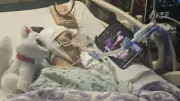 ABD'de TikTok Akımı Can Aldı: 15 Yaşındaki Leah Presson'un Tüyler Ürperten Ölümü