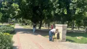 Afrika sıcakları Türkiye'yi kavurdu! Adana'da 33 derece