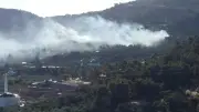 Çanakkale Ayvacık'ta zeytinlik yangını kontrol altına alındı
