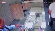 Şanlıurfa'da sahibinden kaçan dana kuyumcuya girdi: Panik anları kamerada