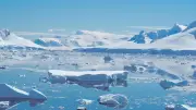 Antarktika’da Rekor Sıcaklıklar Bilim Dünyasını Endişelendiriyor