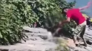Avcılar'da köpeğe şiddet uygulayan şahıs tutuklandı