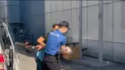 Avcılar'da köpeğe vuran H.E. gözaltına alındı