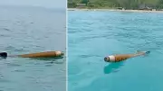 Ayancık'ta denizde şüpheli cisim paniği