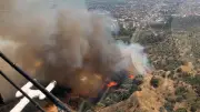 Aydın Nazilli'de zeytinlik yangını: 4 helikopter havadan müdahale ediyor