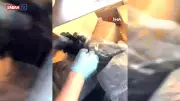 Batman'da Tır Dorsesinde Uyuşturucu Operasyonu: 2 Gözaltı