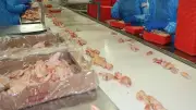 Beyaz ette 13 şirkete denetim kayyımı atandı: Fiyat artışı soruşturması