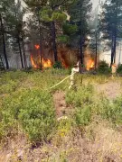 Bursa Orhaneli'nde Orman Yangını: 3 Helikopter, 9 Arazöz Müdahale Ediyor