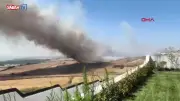 Büyükçekmece'de Buğday Tarlasında Yangın: Helikopterli Müdahale Sürüyor