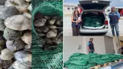 Edirne'de 840 kg canlı akivades ele geçirildi, 1 milyon TL ceza