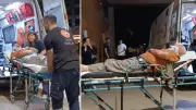 Erik Toplarken Ağaçtan Düşüp Yaralandı