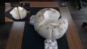Erzincan'da 5 kiloluk dev mantar bulundu