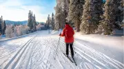 Finlandiya'da Turistlere Özel Hazine Avı: 20 Bin Euro Değerinde Altın Gizlendi