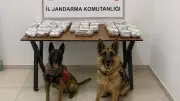 Hakkari'de 21 Kilo 650 Gram Toz Esrar Ele Geçirildi, 2 Gözaltı