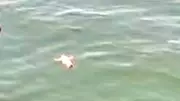 Haliç'te Genç Kız Hareketsiz Halde Bulundu, Balıkçılar Kurtardı