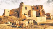 Harran Kalesi'nin Adı Selahaddin Eyyubi Sarayı Olarak Değiştirildi