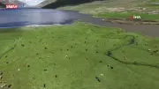 Iğdır'da meralara yayılan hayvanlar kartpostallık görüntü oluşturdu