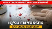 IQ'su En Yüksek Kan Grubu Hangisi? Japon Bilim İnsanları Açıkladı