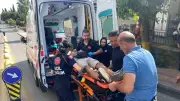 Kamyonet yaya geçidinde yayaya çarptı: 1 yaralı