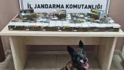 Kayseri Pınarbaşı'nda Jandarmadan 10 Bin Makaron Ele Geçirildi