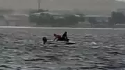 Küçükçekmece Gölü'nde rüzgar devirdi, kayık alabora oldu