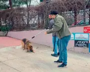 Köpekler Toplandı Şimdi Ne Olacak? Merih Demiral ve Eren Elmalı Linç Edildi