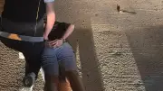 Kırmızı Bültenle Aranan Alman Uyuşturucu Şüphelisi Bodrum'da Yakalandı