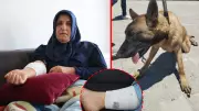 Kızını yolcu ederken köpek saldırısına uğradı: Beni paramparça edecekti