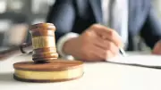 Mahkemeden Kadına Tosbağa Demek Ağır Kusur Kararı