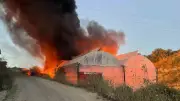 Manavgat'ta depo olarak kullanılan muz serası kül oldu