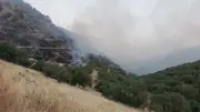 Mardin Kızıltepe'de örtü yangını kontrol altına alındı