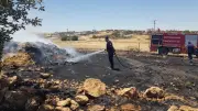 Mardin'in 4 ilçesinde çıkan yangınlar kontrol altına alındı