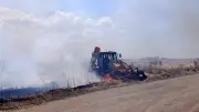 Marmaraereğlisi'nde tarım arazilerinde çıkan yangın konteynerlere sıçradı