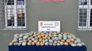 MSB Van hudut hattında 290 kilo uyuşturucu ele geçirildi