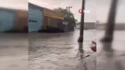 İnegöl'de dolu ve sağanak yağış hayatı felç etti