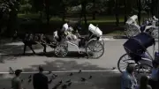 New York Central Park'ta fayton kazası: 18 yaşındaki genç hayatını kaybetti