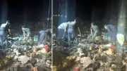 Çorlu'da çöp toplama alanında 1 aylık erkek bebek cesedi bulundu
