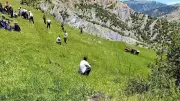 Osmancık'ta traktör kazası: 1 ölü