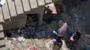 Sarıyer'de Kayıp Kedi Ararken Ceset Buldu: Dehşet Anları