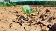 Sıfır Atık Vakfı'ndan Çölleşme ve Kuraklıkla Mücadele Uyarısı