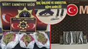 Siirt'te 33 Şahıs Yakalandı: Tarihi Eser Kaçakçılığından Kara Para Aklamaya