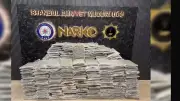 İstanbul'da Narkotik Operasyonu: 1 Ton 285 Kilo Uyuşturucu Ele Geçirildi