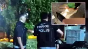Tekirdağ'da uyuşturucu operasyonu: 23 tutuklama, 2 kilo 597 gram madde ele geçirildi
