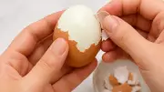 Yumurta Kabuğu Nasıl Kolay Soyulur? İşte Bilimsel Cevap