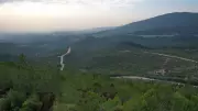 İzmir'de ormanlık alanlara giriş 5 ay yasaklandı