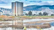 İzmir'de sivrisinek krizi büyüyor: Vatandaş isyan etti